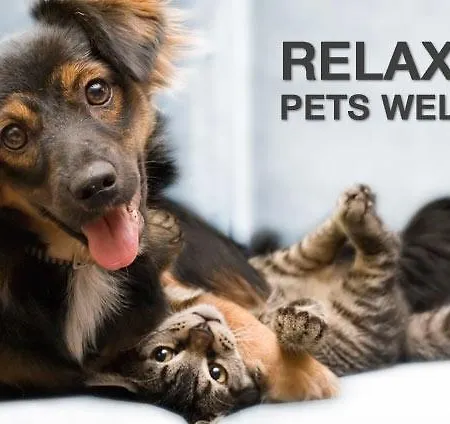 Sant'agostino Mondovì